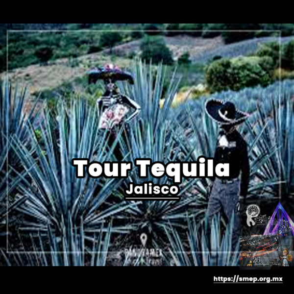 Tour en tequila Jalisco (socio SMEP)