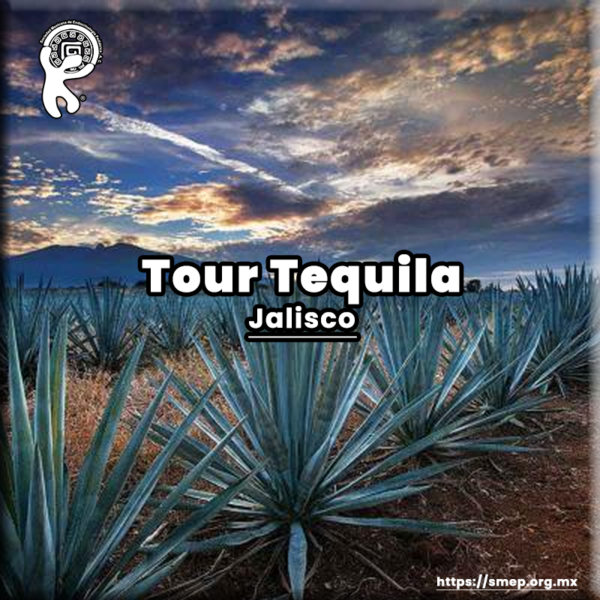 Tour en tequila Jalisco “acompañante”